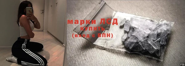 стаф Алзамай