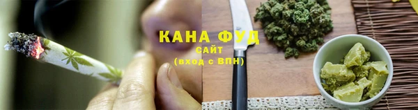стаф Алзамай