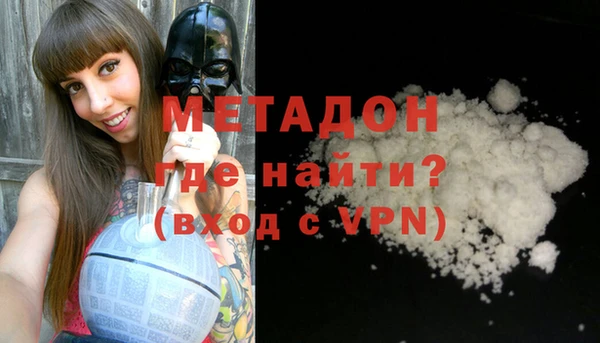 стаф Алзамай