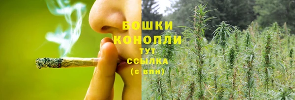 трава Алексеевка